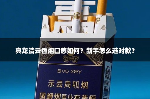 真龙清云香烟口感如何？新手怎么选对款？